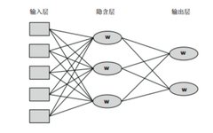 A Journey into Neural Networks: Understanding Neurons