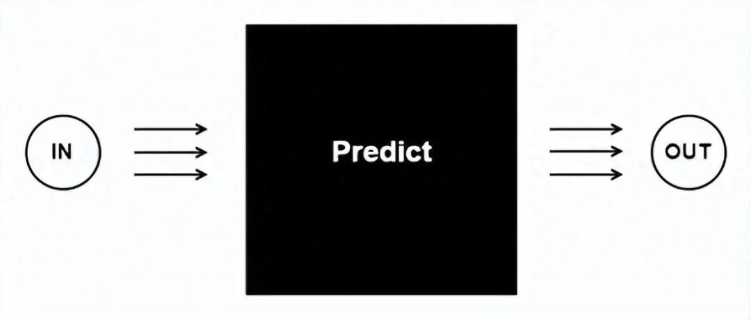 How Neural Networks Learn to Predict
