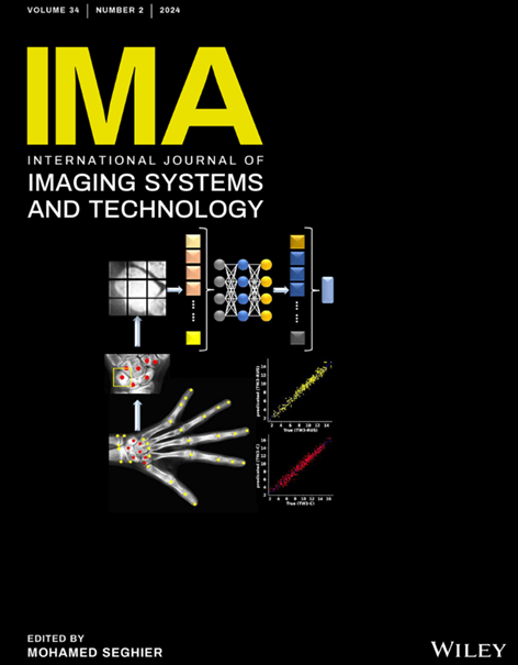 CNN-ViT Hybrid Model for Few-Shot Image Recognition