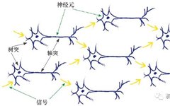 Basic Principles of Neural Networks and Implementation in Python