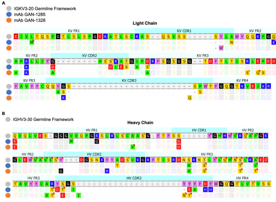 Designing Feature-Controlled Humanoid Antibody Libraries Using GANs