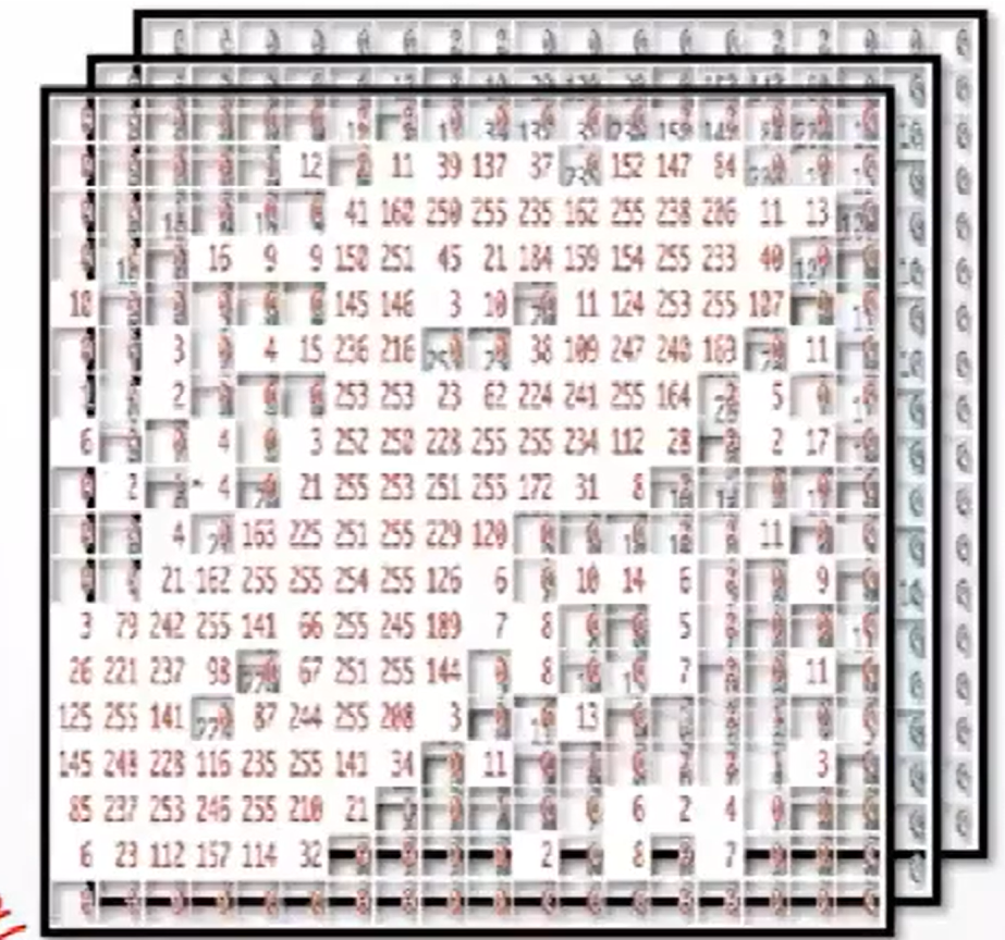 Fundamentals of Convolutional Neural Networks (CNN)