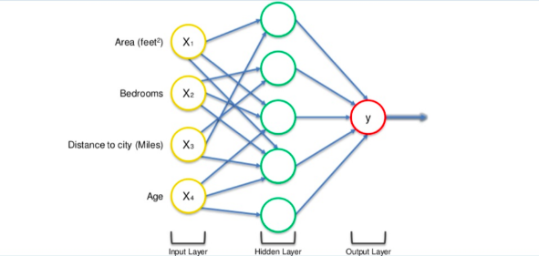 Understanding How Neural Networks Work