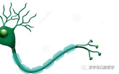 Understanding Neural Networks in Deep Learning