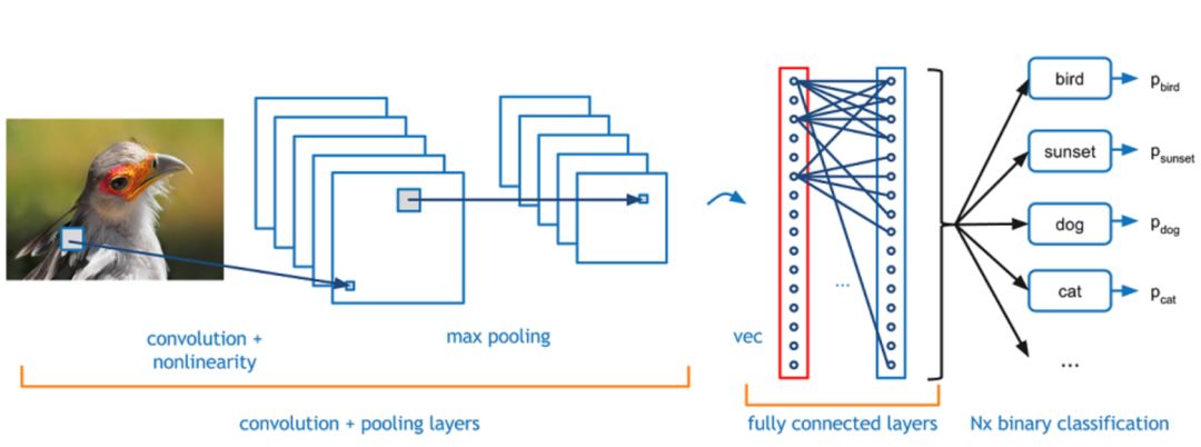 Understanding Applications of Deep Learning in Computer Vision