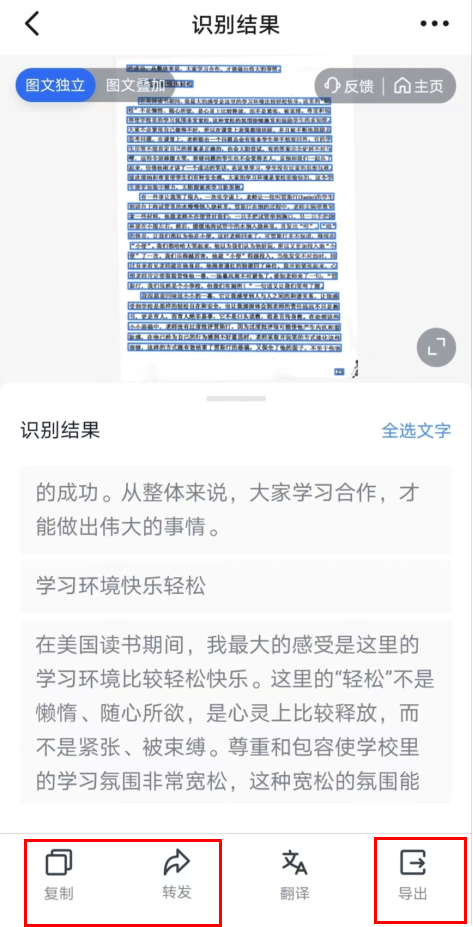 Practical OCR Tools for Efficient Text Extraction