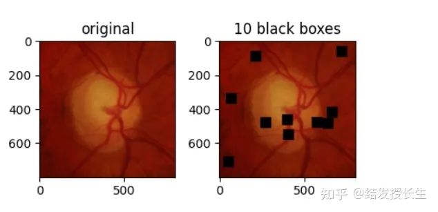 13 Image Augmentation Methods in Pytorch