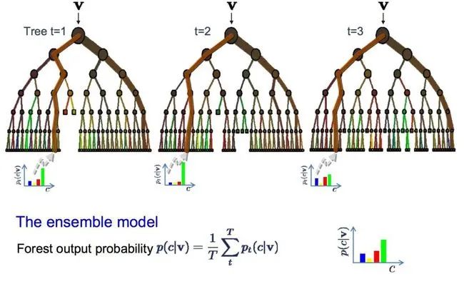 Illustrated Guide to the 10 Most Common Machine Learning Algorithms