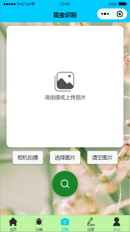 Insect Recognition System Based on CNN