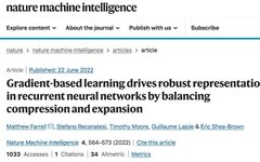 RNN Learns Suitable Hidden Dimensions with White Noise