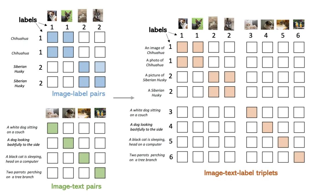 How to Use Multi-Type Data to Pre-Train Multimodal Models?