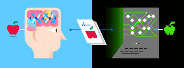 Understanding How Neural Networks Work