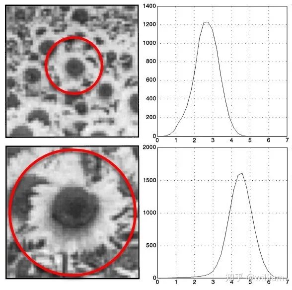 Comprehensive Review: Image Feature Extraction and Matching Techniques