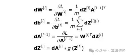 In-Depth! Illustrated Mathematical Principles of Neural Networks