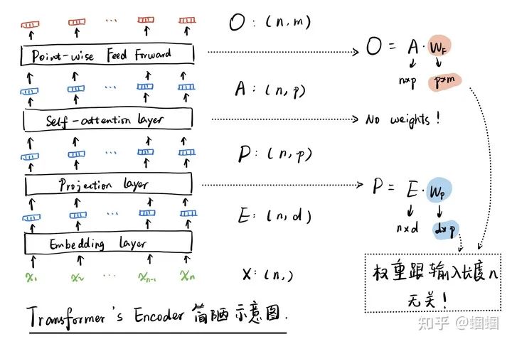 How Deep Learning Models Handle Variable Size Inputs
