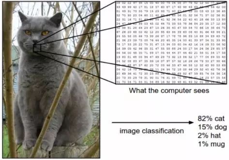 How Convolutional Neural Networks Achieve Image Recognition