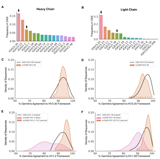 Designing Feature-Controlled Humanoid Antibody Libraries Using GANs