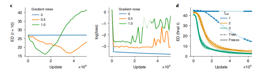 RNN Learns Suitable Hidden Dimensions with White Noise