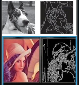 Comprehensive Introduction to Convolutional Neural Networks