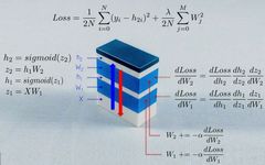What Are the Mathematical Principles Behind Neural Networks?