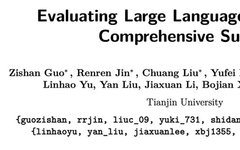 The Last Mile of Large Models: A Comprehensive Review of Large Model Evaluation