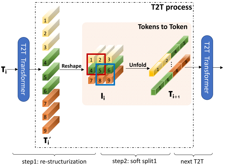 Network Architecture Design: CNN Based and Transformer Based