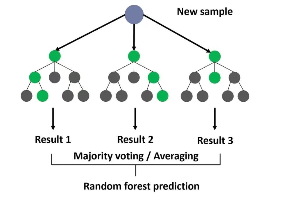 Top 10 Machine Learning Algorithms