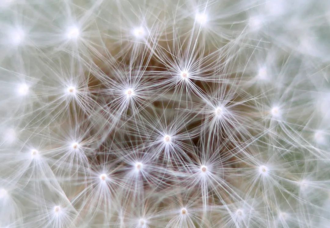 Don't Overlook Graph Neural Networks (GNN) in 2023!