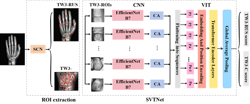 CNN-ViT Hybrid Model for Few-Shot Image Recognition