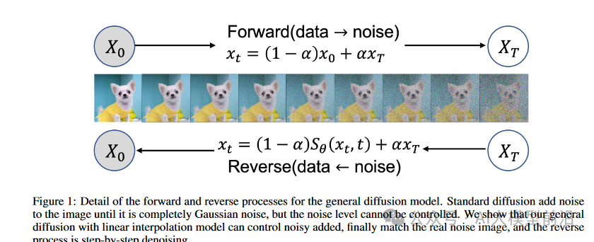 Essential Deep Generative Models You Must Know!