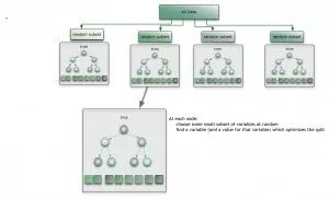17 Common Algorithms in Machine Learning