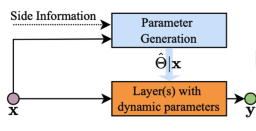 Dynamic Neural Networks: Key Challenges and Solutions