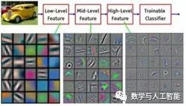 15 Questions About Convolutional Neural Networks and Biological Visual Systems