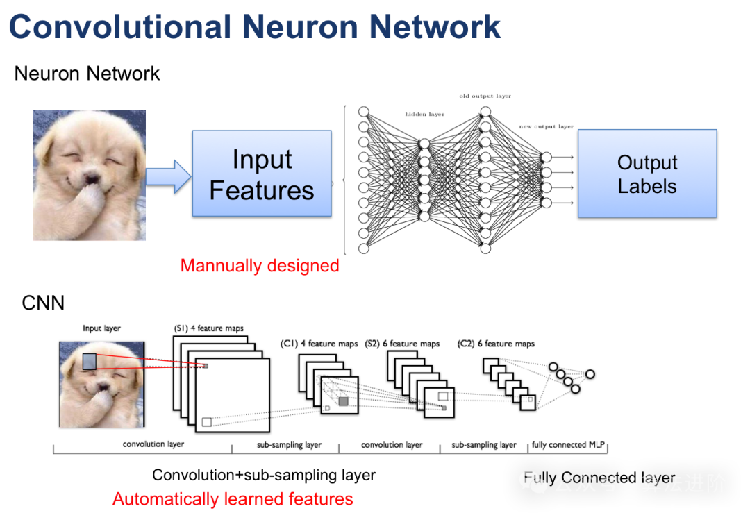 Top 10 Deep Learning Models