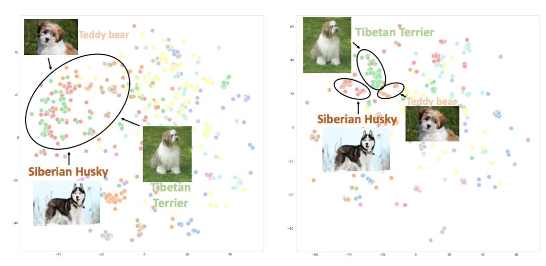 How to Use Multi-Type Data to Pre-Train Multimodal Models?