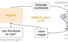 What Kind of Robotic Large Models Do We Need?