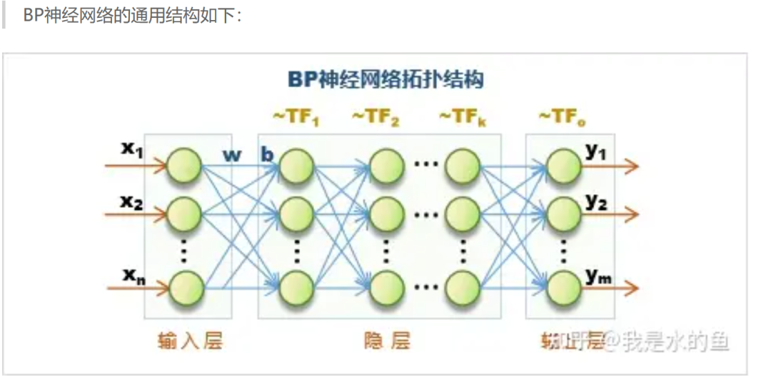 BP Neural Network: An Iterative Network That Continuously Improves