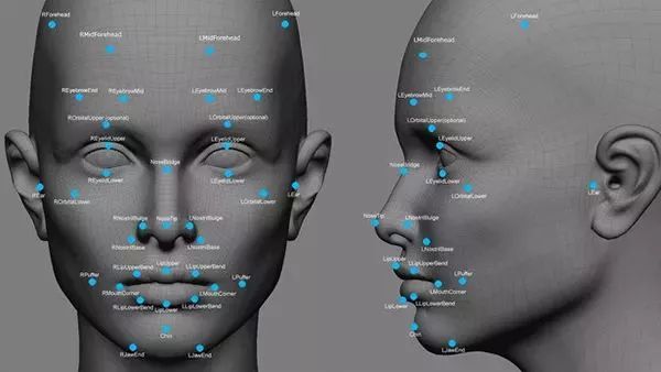 Principles, Process, and Applications of Image Recognition