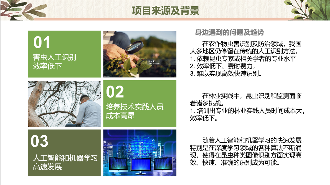 Insect Recognition System Based on CNN