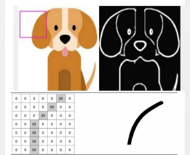 Comprehensive Introduction to Convolutional Neural Networks