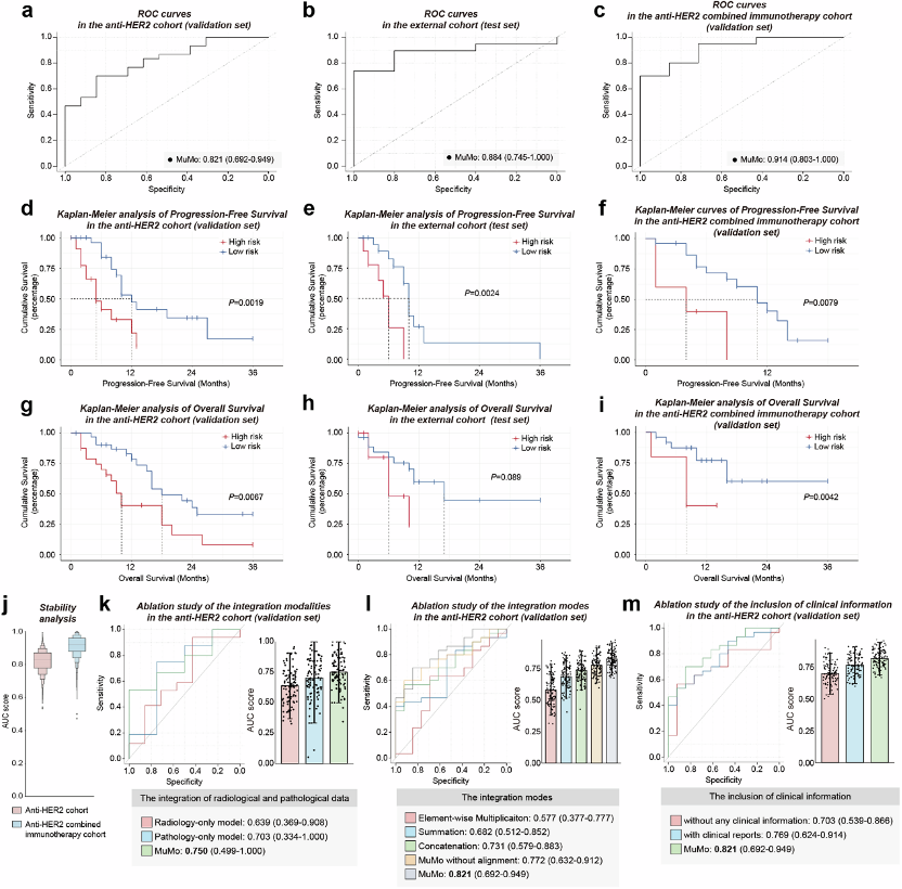 Multi-Modal AI Analysis Technology Aids Precision Prediction of Treatment Response in HER2-Positive Gastric Cancer Patients