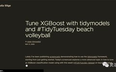 Building XGBoost Classification Model with Tidymodels