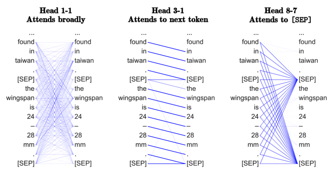 Understanding Transformers in Graph Neural Networks