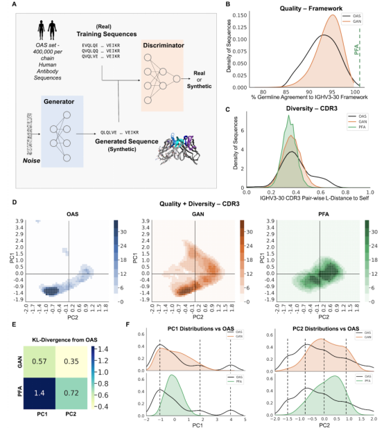Designing Feature-Controlled Humanoid Antibody Libraries Using GANs