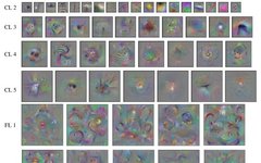 Visualizing CNNs and Feature Maps