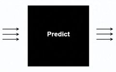 How Neural Networks Learn to Predict