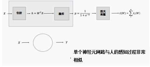 Understanding Neural Networks: A Comprehensive Guide