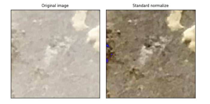 Comprehensive Guide to Image Augmentation Using Pytorch