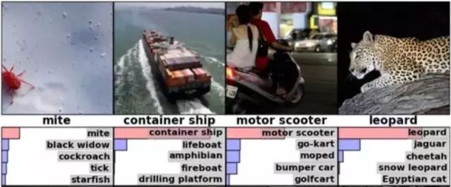 An Overview of Convolutional Neural Networks and Analysis of ImageNet Champion Models