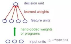 Eight Essential Neural Network Architectures in Machine Learning